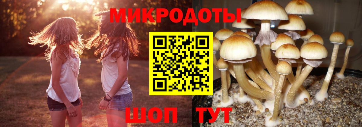 Псилоцибиновые грибы Magic Shrooms Электрогорск
