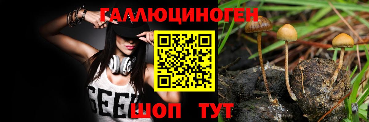 Галлюциногенные грибы Psilocybine cubensis  Вход с VPN  Электрогорск 
