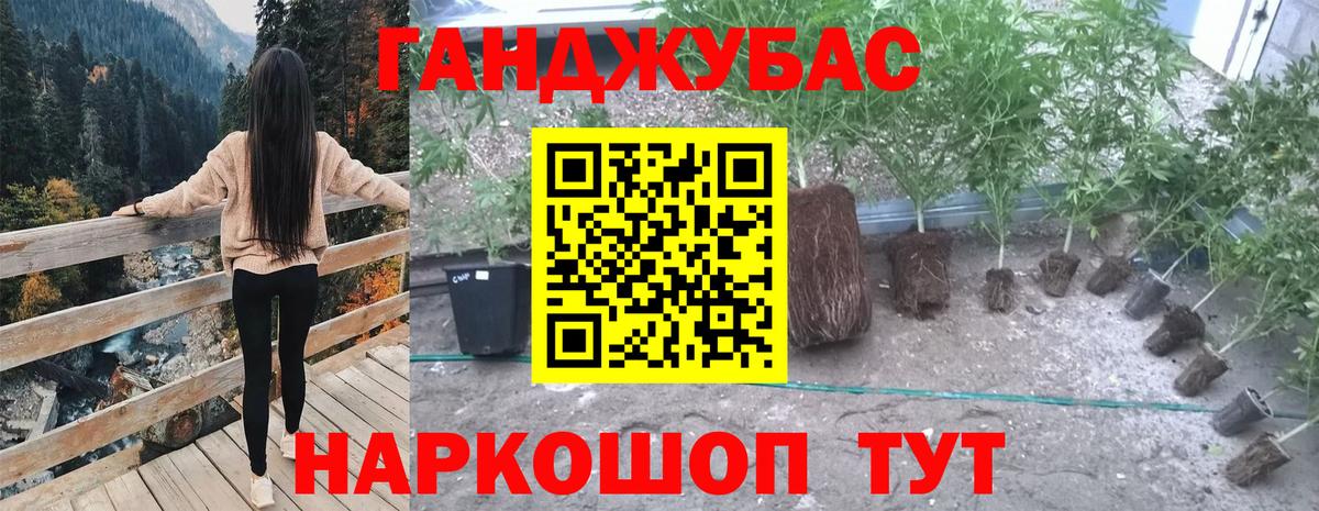 Бошки марихуана White Widow Электрогорск